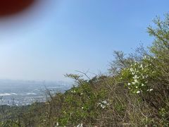 -宁波市保国寺古建筑博物馆