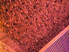 -碧中海汤泉汗蒸酒店