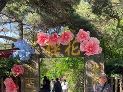 -庐山风景区花径公园