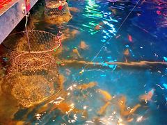 -钳真多钓虾馆·小龙虾海鲜烧烤(九六广场店)