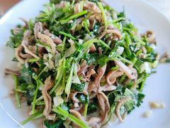 芫爆肚丝-鼎香润(德胜门内店)