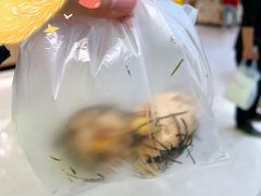 -都恩客(高岛屋百货店)