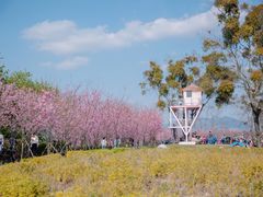 -福建鲤鱼洲酒店
