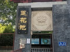 -莲花池公园