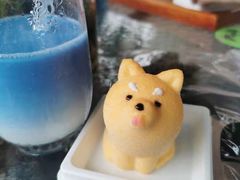 柴犬蛋糕-柴犬高等学院·狗咖·柴犬售卖·宠物训练