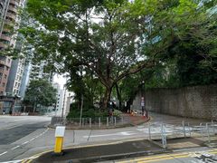-香港大学
