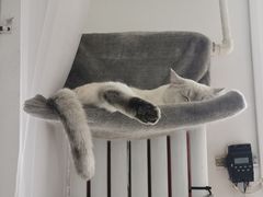 -青春加萌照相馆