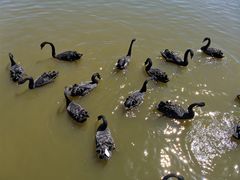-新疆天山野生动物园