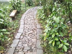 -叶家花园