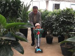 -李村大集