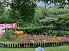 -上海野生动物园