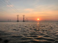 -宝安西湾红树林湿地公园