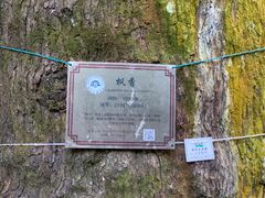 -西湖风景区十里琅珰-五云山