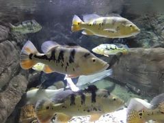 -多彩贵州城极地海洋世界