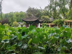 -莲湖公园
