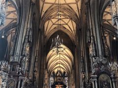 -斯蒂芬主教座堂(Stephansdom)