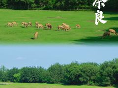 -南海子公园