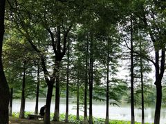 -艾溪湖湿地公园