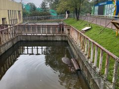 -青藏高原野生动物园