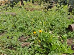 -小八仙·宴(三峡茶庄店)