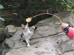 -广州市白云山风景名胜区