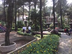 -铁山坪森林公园