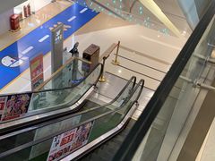 -丽莎蓓甜CAKE生日蛋糕·动物奶油(石家庄店)