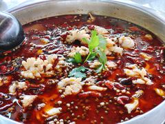 -重庆何乌鱼(南湖逸家店)