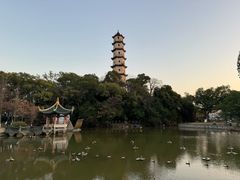 -江心屿景区