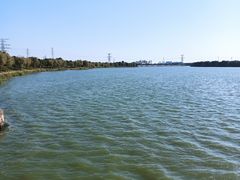 -漕湖湿地公园