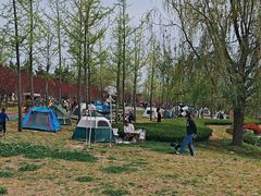 -羊亭河湿地公园