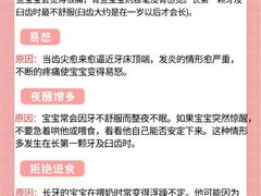 -茂菊口腔连锁(浦东南路店)