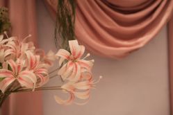-Sunny喜铺婚礼定制·求婚策划