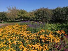 -长春公园(普阳街道)