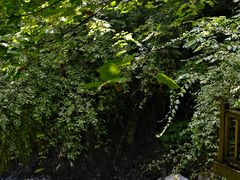 -西岭雪山大飞水景区