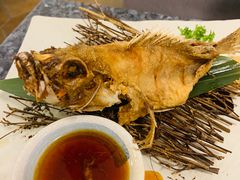 -菊上料理(蜀山银泰百货店)