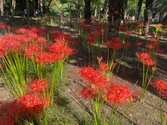 -狼山风景名胜区