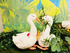 -济州岛泰迪熊博物馆