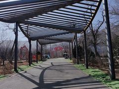 -北京凤凰岭