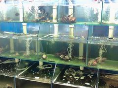 -来之顺海鲜菜馆·青岛菜(栈桥店)