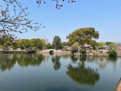 -无锡蠡湖国家湿地公园-蠡园