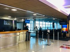 -约翰·菲茨杰拉德·肯尼迪国际机场