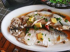 清蒸白鱼-梦缘水乡·湖景餐厅