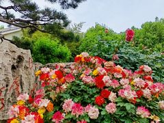 -郑州植物园