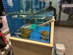 -佳兰雅序融合菜(高新店)
