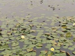 -长兴太湖图影湿地文化园