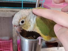 -合肥市裕丰花鸟虫鱼市场-F区