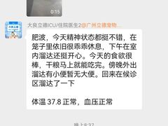 -立德动物医院·重症转诊·24H夜诊·CT·心脏彩超(顺德中心分院)