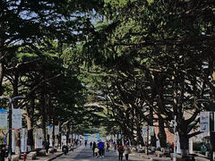 -贮水山儿童公园