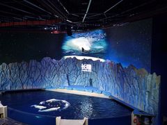 -帝企鹅自助餐厅•儿童岛•真企鹅(长隆企鹅酒店)